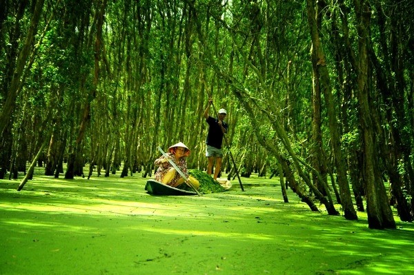 THÁI BÌNH - CÁT BI - CẦN THƠ - LONG XUYÊN - CHÂU ĐỐC - HÀ TIÊN 